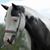 Sherri Stempien's profile image