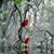Leslie Lanzer's profile image