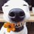 Debbie Plock Thiel's profile image