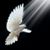 Sybil Lewis's profile image