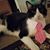 Aimee Marie McGoveran's profile image