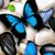 Michelle Lynette's profile image