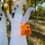 Laurie Lach's profile image