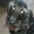 Pamela Wagner's profile image