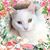 Mary Irene Crowe's profile image