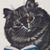 Jo Tara's profile image