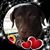 Pandi Andi's profile image