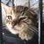 Karlita Q-d's profile image