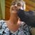 Jeri S Melone's profile image