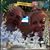 Tammy Denton Ackerman's profile image