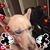 Eric Wolff's profile image