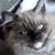 Gail Welter's profile image
