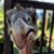 Christopher Morgan's profile image