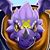 Sean Piche's profile image