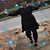 Cynthia Raines's profile image