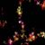 Maricela Facundo's profile image