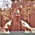 Stace Schumann's profile image
