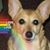 Fizz Buckles's profile image