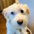 Jodi Roberts's profile image