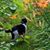 Cathi Grasso's profile image