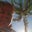 Tammy Tate-Leners's profile image