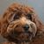 Esther Moo Shapiro's profile image