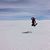 Vicky Lachance's profile image
