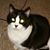 Kim Andera's profile image