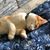 Betsy Morrison Cammack's profile image