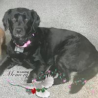 Mitch Weisent's profile image