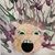 Laura Evans's profile image
