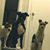 Rose Ruggiero's profile image