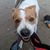 Laura Chelton's profile image