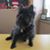 Dawn Rux's profile image