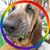Tanya Coates's profile image