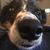 Ken Allen Lawson's profile image