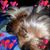 Nicole Yerton's profile image