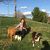Sara Schumm's profile image