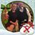Janet Ridge's profile image
