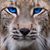 Donald Willings's profile image