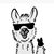 Lisa Miller's profile image