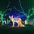 Jennifer-Lee Wilson's profile image