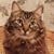 Gisele Hardeen's profile image