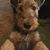 Chris Armstrong Reedy's profile image