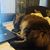 Michelle A. Victor's profile image