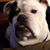 Jamie Whitlock's profile image