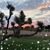 Heather Paige Reed Fieler's profile image
