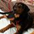 Janice Oliveria's profile image