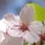Amanda Saunders's profile image