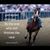 Jill Pearson-Dirbas's profile image